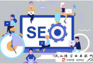 黑帽seo 高粱seo:企業做SEO官網優化是為什么呢？