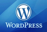 黑帽seo輔助:WordPress免費博客，注冊值得關注的細節