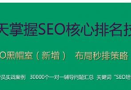 附子seo黑帽課程：探索網絡優化的別樣路徑