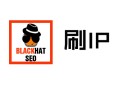有哪些老品牌的黑帽seo:網頁搜索優化：在線刷流量軟件與刷IP，有用嗎？