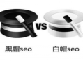黑帽技術(shù)哪里學(xué)（seo黑帽技術(shù)有哪些）