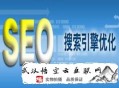 黑帽seo_快照劫持工具:武漢SEO公司談SEO網站優化注主要點