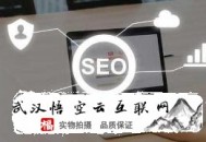 黑帽seo代碼怎么上傳:SEO對外貿企業(yè)帶來的行業(yè)動力