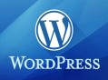 逆冬黑帽seo教程:為什么站長都用WordPress中文博客？