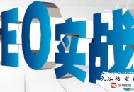 黑帽seo軟件 sit:隨便先容一下軟件刷百度快速排名的方式