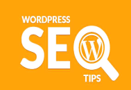 黑帽seo培訓班:WordPress 博客，為什么在百度沒排名？