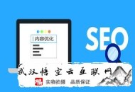 seo常見的黑帽手法:西昌SEO談查看網(wǎng)站的數(shù)據(jù)剖析