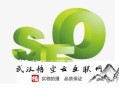 seo黑帽有什么用:SEO照料談關于優化接單的套路