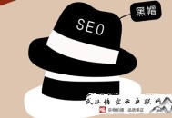 黑帽seo技術:[干貨分享]黑帽SEO的一些新科技