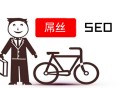 黑帽seo之家:SEO屌絲：若何逆襲，做網站推廣？