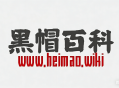 黑帽SEO在不同行業網站中的應用與風險分析