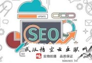 黑帽seo養站做法:韶山SEO公司：若何結構網站提高網站結構優化