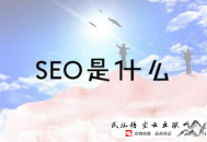 seo 黑帽什么意思:安徽SEO：網(wǎng)站會成為電子商務(wù)生長將成為企業(yè)的主旋律嗎