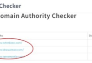 外貿seo常用黑帽手法揭秘：規避風險，把握白帽優化正道