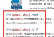 黑帽SEO：探索不為人知的網絡盈利蹊徑，并非單純只為賺錢