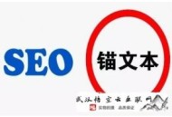 實戰seo黑帽之蜘蛛劫持:武漢SEO：企業品牌選擇用seo實現宣傳