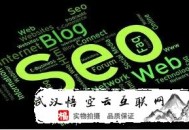 黑帽seo快排系統:快速來提高SEO能通過哪些方式到達呢？有15種！