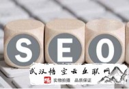 做黑帽seo什么意思:北海SEO公司談網(wǎng)站SEO優(yōu)化的目的是什么