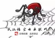 seo黑帽技術(shù)論壇:悟空云SEO談?wù)勚┲氤氐南嚓P(guān)知識(shí)