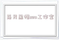 落月黑帽SEO：揭秘違規操作手法與對網絡生態的危害