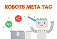 關(guān)于WordPress5.7的Robots API和max-image-preview指令介紹