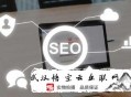 黑帽seo怎么舉報(bào):【SEO分享】網(wǎng)站改版后導(dǎo)致的權(quán)重流失問題