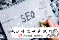 如何看待黑帽seo 知乎:武漢SEO公司談怎么做好站內(nèi)SEO優(yōu)化