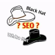 深度剖析：SEO黑帽與白帽推廣的差異及影響