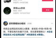 seo黑帽是什么意思（東莞seo黑帽培訓）