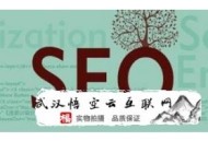 黑帽seo中隱藏文字和鏈接的代碼:武漢SEO署理談網站tag的準確用途