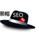 黑帽seo力推逆冬