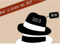 SEO黑帽需掌握什么技能實現(xiàn)快速排名提升