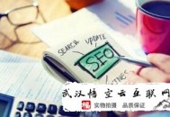 哪里有黑帽seo教程:官網(wǎng)SEO解答白帽seo的操作方式