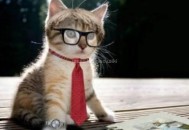 網站SEO優化，日常工作都有那些（必看干貨分享）！