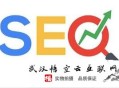 黑帽seo的操作方法:長春SEO:太過優化的泛起場景