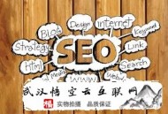 黑帽seo 蜘蛛 頁面:SEO官網(wǎng)優(yōu)化的執(zhí)行攻略
