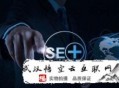 黑帽seo排名技術 site:企業營銷型網站的詳細的利益在哪呢？