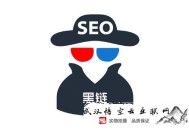 黑帽seo常用作弊手法分析:[干貨分享]SEO優化中的黑鏈的“手段”