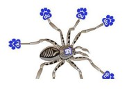 杭州SEO 網站收錄重要途徑之蜘蛛池