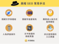 深度剖析：SEO黑帽與白帽廣告的差異及影響
