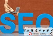武漢黑帽seo:若何讓武漢企業網站的用戶成為客戶