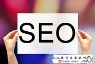 黑帽seo一個月賺多少:【新姿勢】告訴你做SEO優(yōu)化的最終訣竅