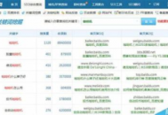 中國黑帽子（中國黑帽子大會）