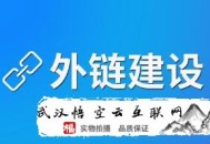 黑帽seo平臺:SEO基礎：外部鏈接消逝了怎么辦