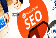 seo黑帽程序搭建:WordPress SEO優(yōu)化，6個技巧與相關(guān)插件！