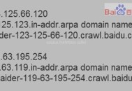 輕松兩步,教你快速識別正確的百度蜘蛛