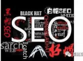 黑帽seo網(wǎng)站