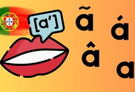 立冬時節黑帽SEO策略剖析與優化技巧探索