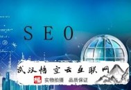 谷歌seo黑帽:定州SEO優化：做好排紳士量真的那么主要嗎？
