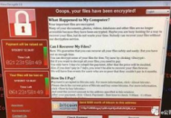 讓電腦癱瘓的軟件